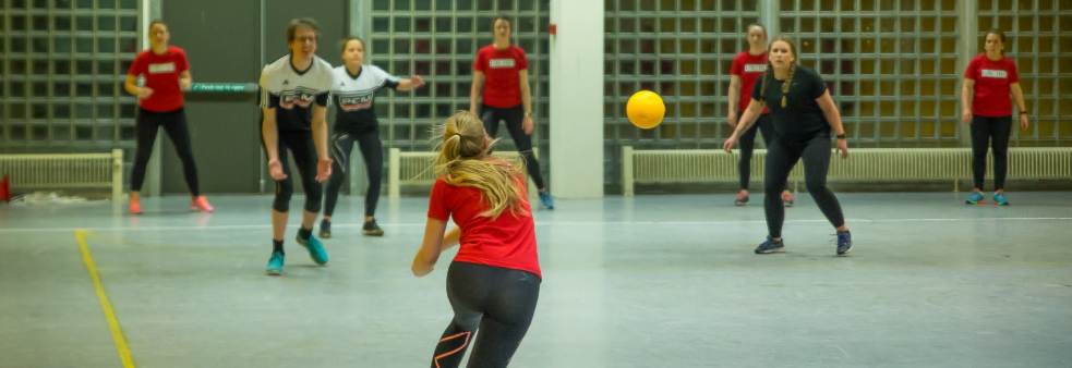 Levanger Bedriftskanonball
